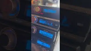 🔝Golfinho Pioneer v&aacute;rios modelos