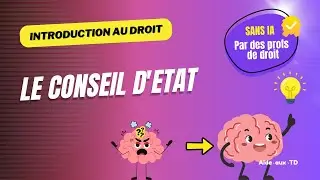 Le Conseil d'Etat (Introduction au droit)