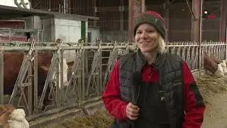 Des colis de veau à Hilsenheim