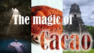 The Magic of Cacao