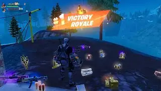 Fortnite 5:3 Deadpool (X-Force) Crowned Victory Royale
