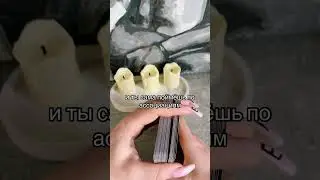 Присоединяйся в телеграмм https://t.me/taropodrugka