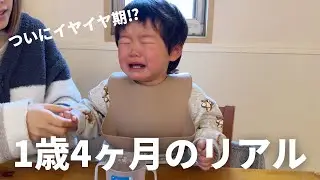 【今月のハイライト】1歳4ヶ月の様々なシーンをまとめました👶#イヤイヤ期 #お外遊び #車好き #男の子育児