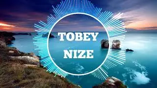 Apache 207 - Fame (TOBEY NIZE Remix)