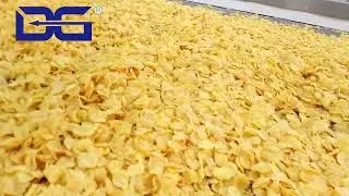 CE corn flakes corn flex making machine cereals rice flakes oats flakes production line