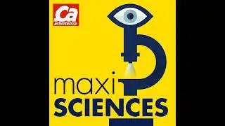 A quelle date a eu lieu le premier feu ?