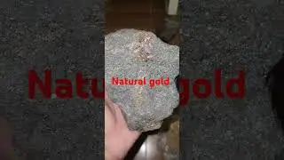 Natural gold #rocks #minerals #natural #silver #platinum #gold #pyrite #metals