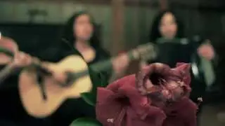 AS 3 MARIAS - CORPETE VERMELHO