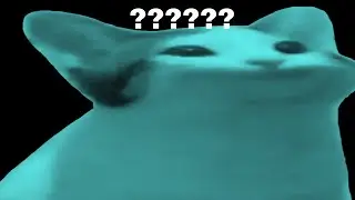 pop cat sound variations
