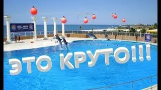 #Sealanya Dolphinpark Seapark / #Морской парк и дельфинарий в Алании (Турция)