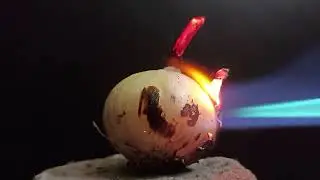 EXPERIMENT VIDEOS ! ONION VS FIRE ! ONION EXPERIMENTS ! THE GALAM