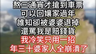 【爽文】馬上要過年，我熬了三個通宵才搶到回孃家的車票，誰知卻被婆婆退了，還罵我是嫁出去的賠錢貨。我冷笑只用一招，年三十那天婆家人全崩潰了#情感故事#爽文#婚姻#婆媳