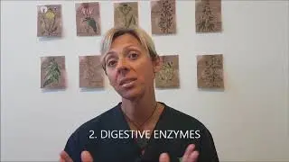 My Top 5 Supplements To Help Your Dog Combat Allergy Season