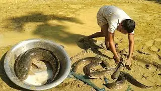 Solo Fishing Adventure | Nature at Its Best | Village Boys Fishing