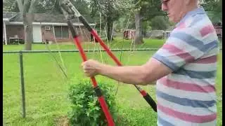 Corona Compound Action Anvil Lopper Review