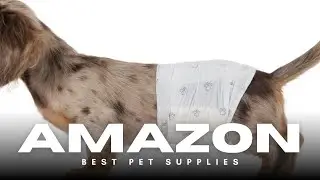 🐕 Amazon Basics Male Dog Diapers! Leakproof & Comfortable (Small, 30 Pack)
