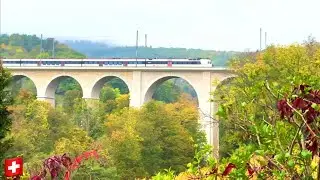 Driving in Switzerland 🇨🇭From Bern to Neuchâtel / Swiss road