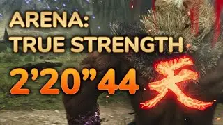 [MH Wilds] Arena: True Strength 2'20