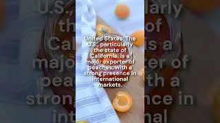 Top 10 Countries Exporting Peach #export #exportimport #fruit #foodexport #food #fyp #knowledge