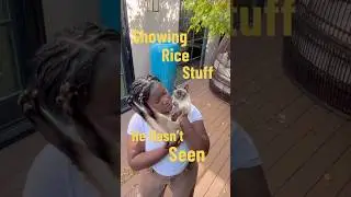 Today Rice sees things that are whimsical and fun