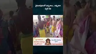 వైకుంఠపురంలో  ఉత్సవాలు.. అమ్మవారి పల్లకి సేవ