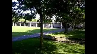 Birdsong in Malmesbury Abbey Cloister