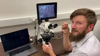 How to set up and use a standard laboratory light microscope