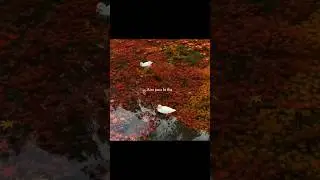 Finding Her Male version 🤍🕊️ || #shortsfeed #shorts #viral #lyrics #asthetic
