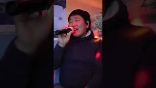 [Live Cover] Wings ~ Fire Bird (Ver.3) (Originaled by X.Y.Z.→A)
