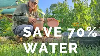 How to Drought Proof Your Garden (Swales & Ollas Guide)