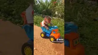 #SingeMignon#Vid&eacute;oDeSinge#SingeRigolo#PetitSinge#SingeAdorable#SingeTropChou#SingeDr&ocirc;le#SingeEnActio