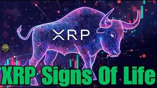 XRP Signs Of Life & Ripple Engineer On Escrow Feature