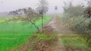 #Dil deta ni lela#nature dildar sanvariya ho# Bhojpuri #sad# song