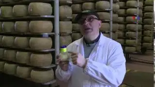 İtaliyanın məşhur Parmejan pendiri