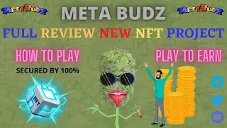 Meta Budz | NFTS Project Review|URDU/HINDI BEST TOKEN HONEST REVIEW 2022