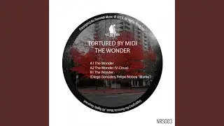 The Wonder (Diego Gonzales & Felipe Noboa Remix)