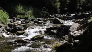Saint Martin V&eacute;subie   Le Bor&eacute;on