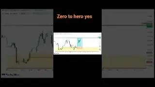 zero to Hero #trading #forexraja #forexsignals #stockmarket #currencytradingtips #currencytrading