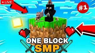 ⭐️MINECRAFT ONE BLOCK CHALLENGE LIVE!‼️