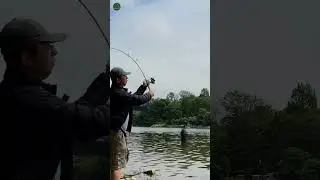 Đi c&acirc;u c&aacute; Smallmouth Bass trong rừng ở Goderich Canada