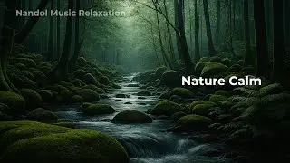 Relaxing Classical Night Music for Insomnia Anxiety Relief and Deep Restful Sleep