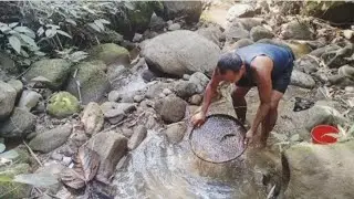 Unique fishing | Man Catching fish🐟Crab🦀Prawn 🦐 In Dry Season 