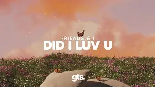 Friends & I - Did I Luv U