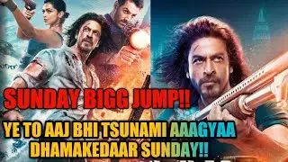 Pathaan 19th Day Sunday Big Jump | Box Office Collection | Shahrukh khan