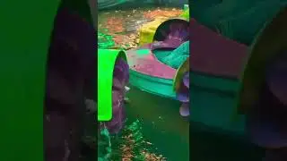 Raniganj Mela Pir Baba #shorts