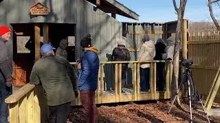 Searching for Waterfowl at the Mullhollan bird blind