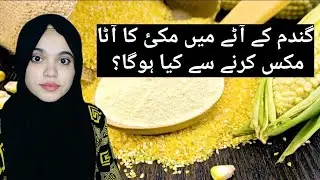 Benefits of Wheat and Corn Flour Mix | Healthy Flour Mix for Weight Loss & Digestion