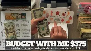 Survivor Week 3 l Low Income Budget With Me | $375 Savings, Variable Bills & Sinking Funds