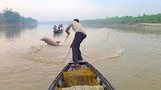 How do people read big fish by throwing a net in the river #fishhunting2 #fishing