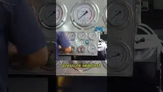 Pressure seal test